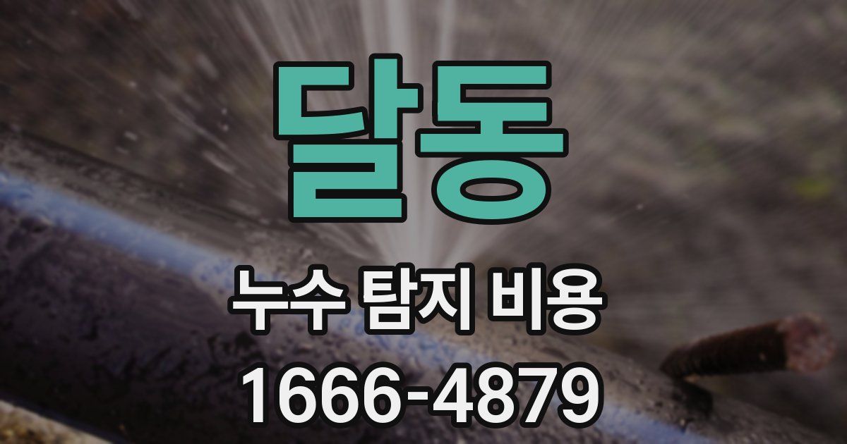 달동 누수 탐지 비용