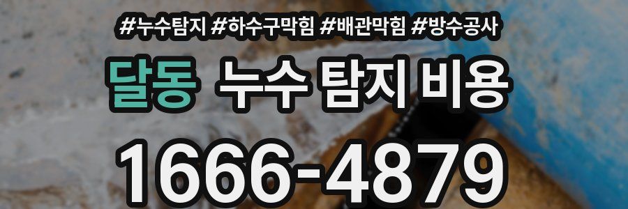 달동 누수 탐지 비용