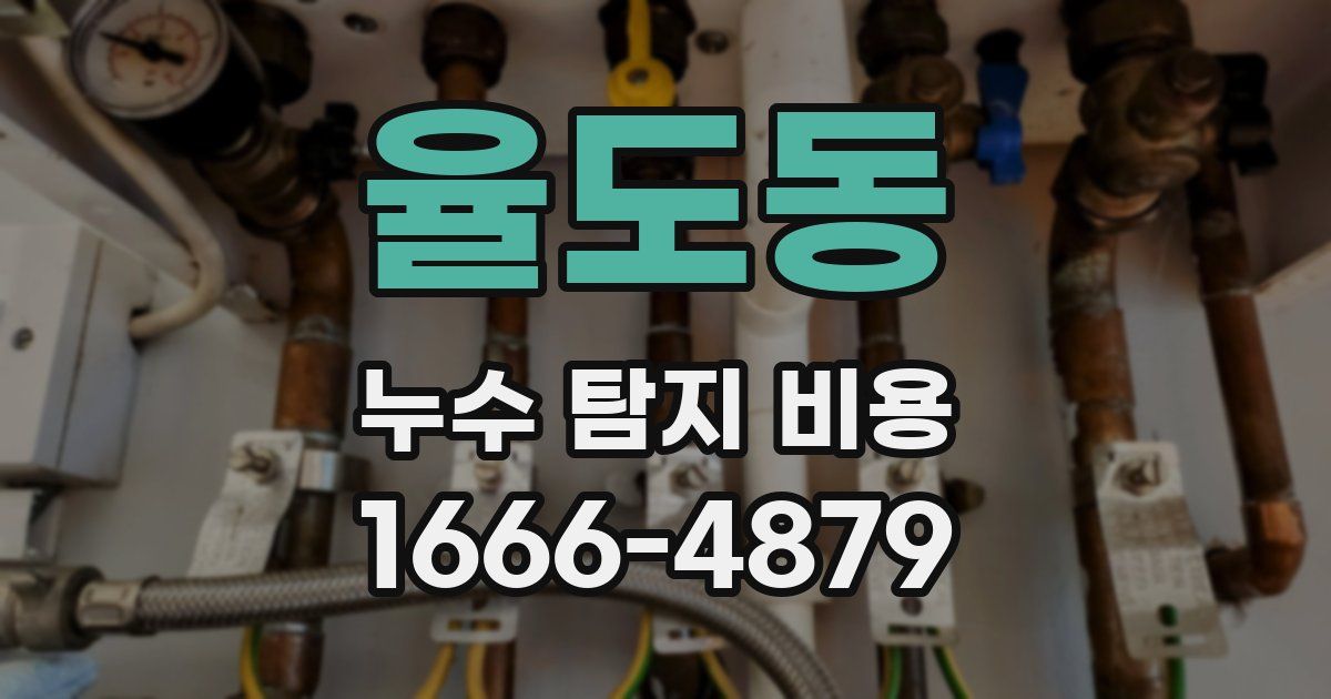 율도동 누수 탐지 비용