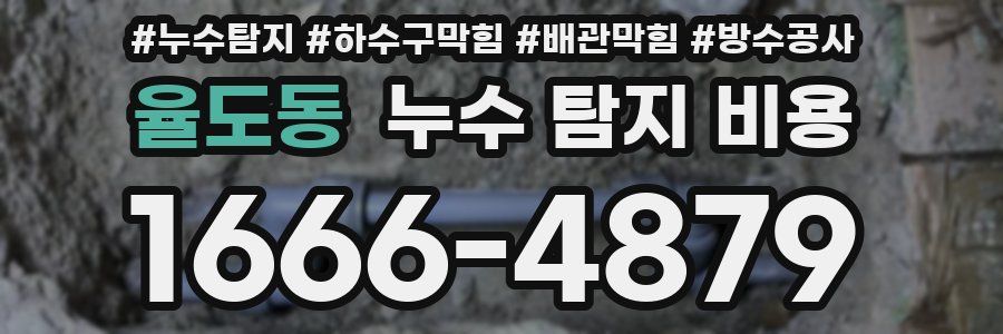 율도동 누수 탐지 비용