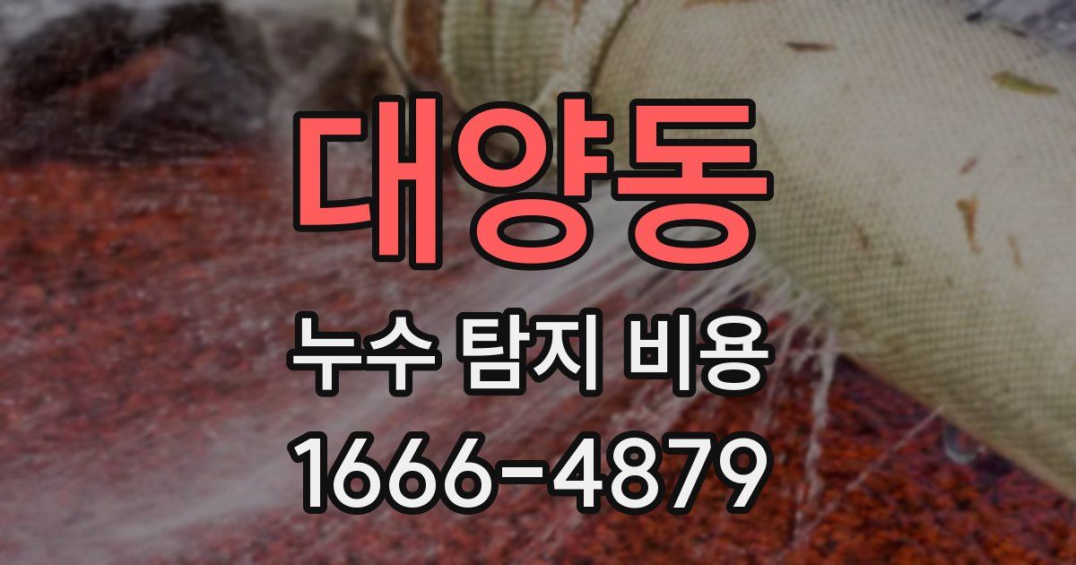 대양동 누수 탐지 비용