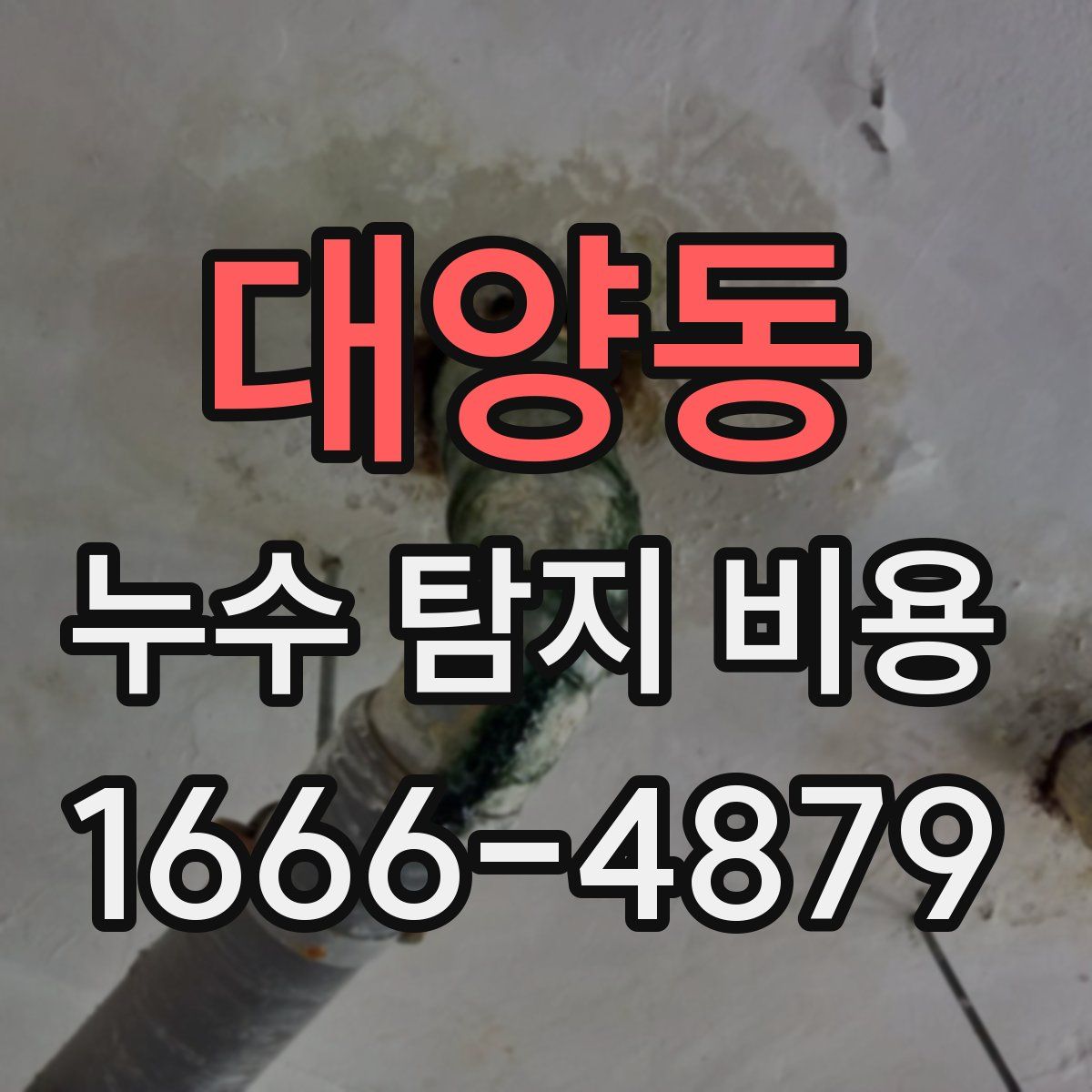 대양동 누수 탐지 비용