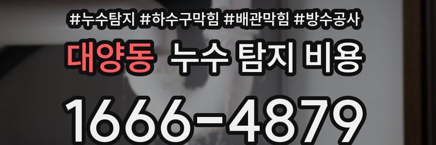 대양동 누수 탐지 비용