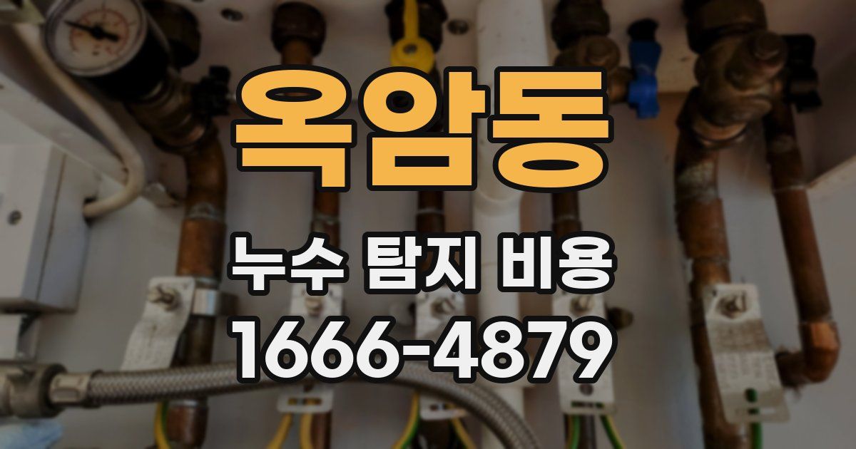 옥암동 누수 탐지 비용