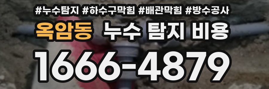옥암동 누수 탐지 비용