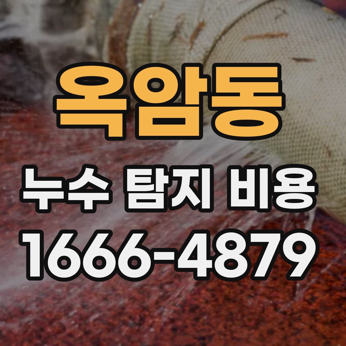 옥암동 누수 탐지 비용