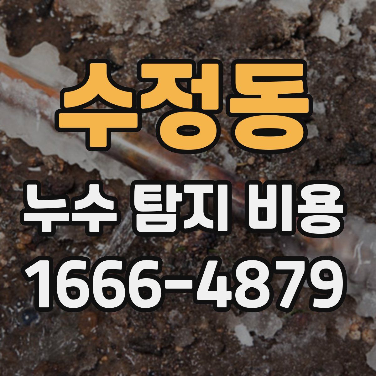 수정동 누수 탐지 비용