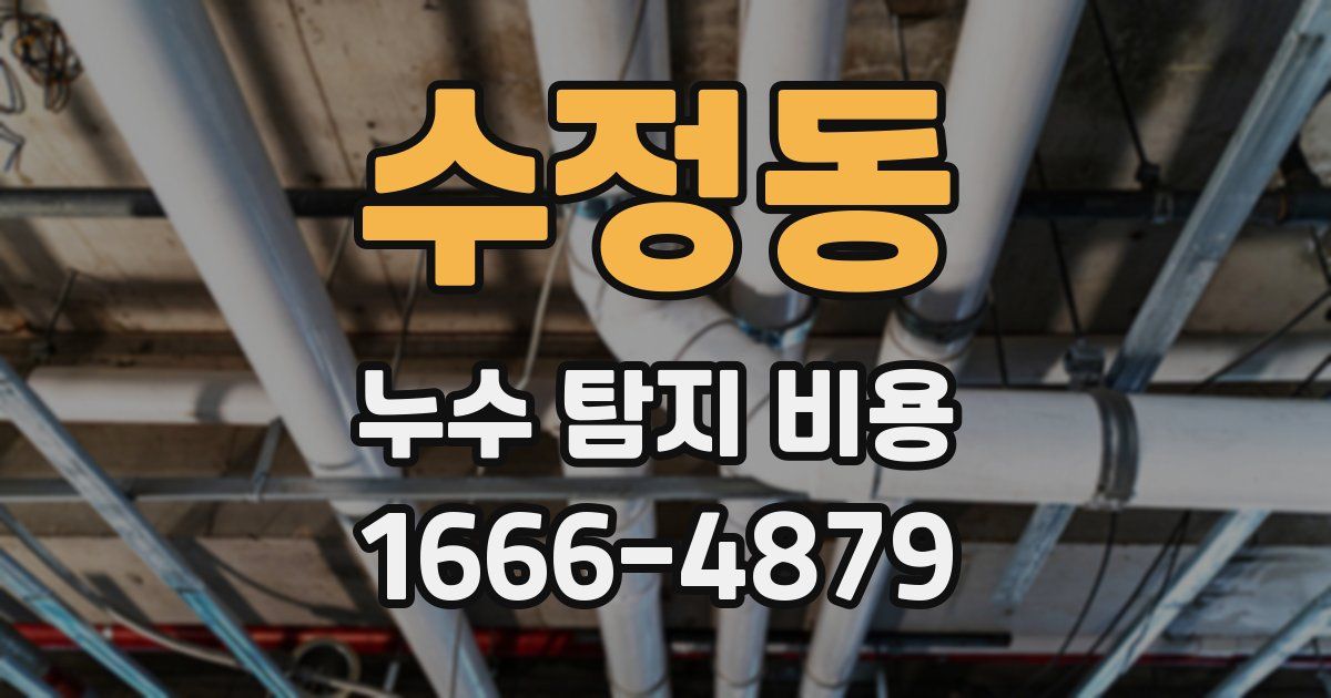 수정동 누수 탐지 비용