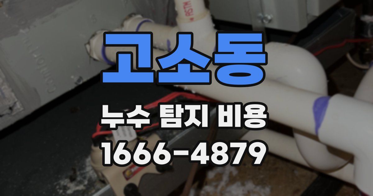 고소동 누수 탐지 비용