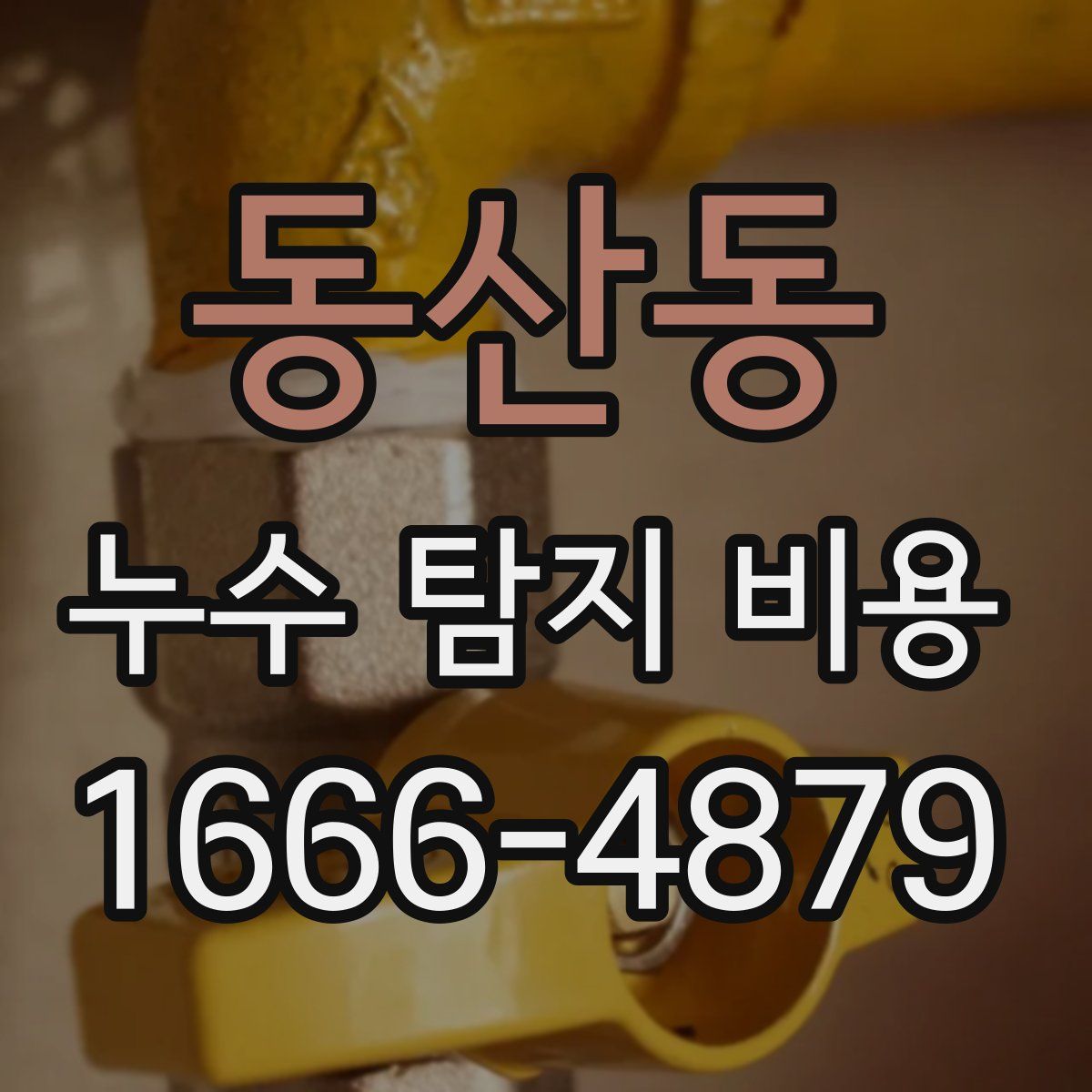 동산동 누수 탐지 비용