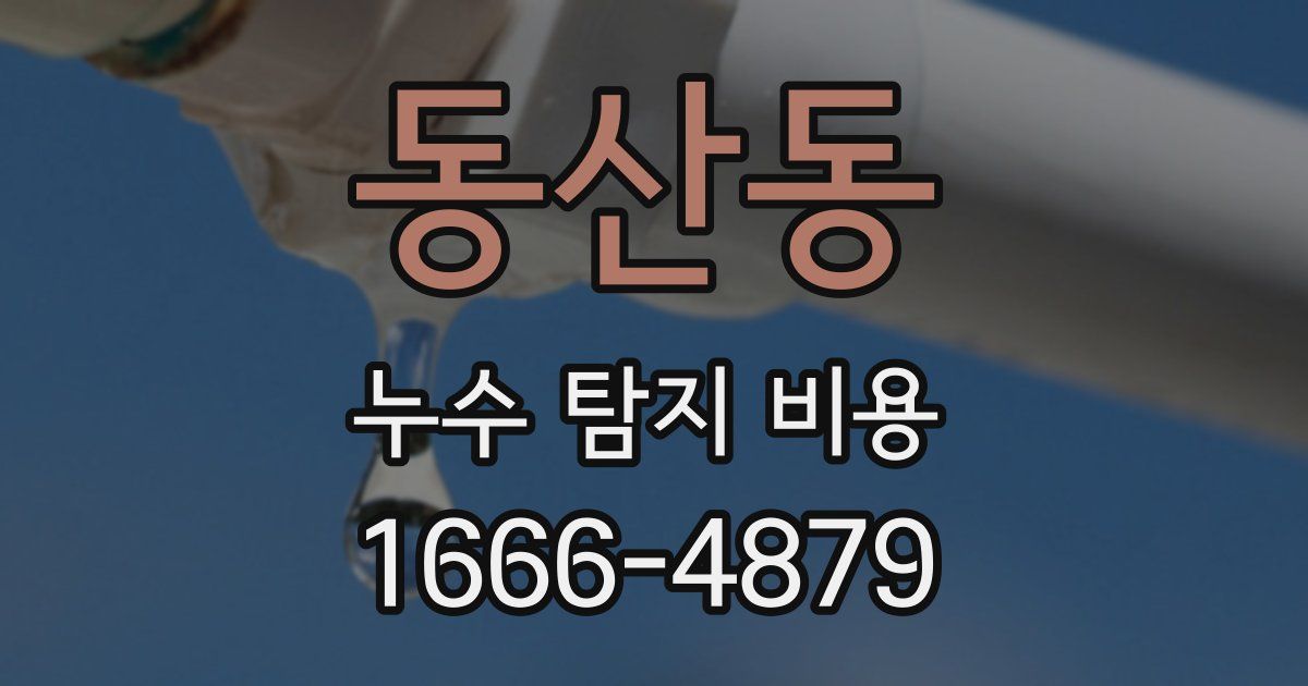 동산동 누수 탐지 비용