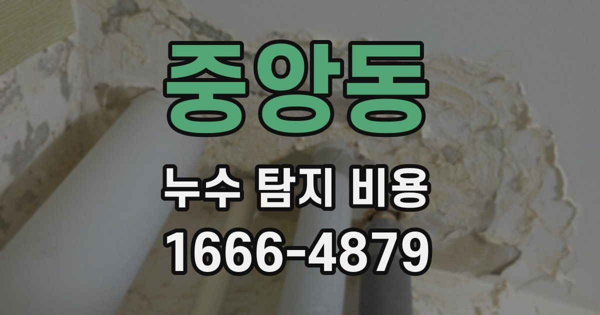 중앙동 누수 탐지 비용