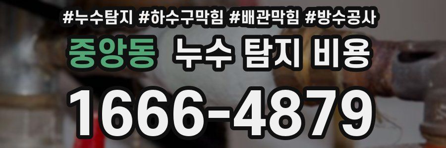 중앙동 누수 탐지 비용