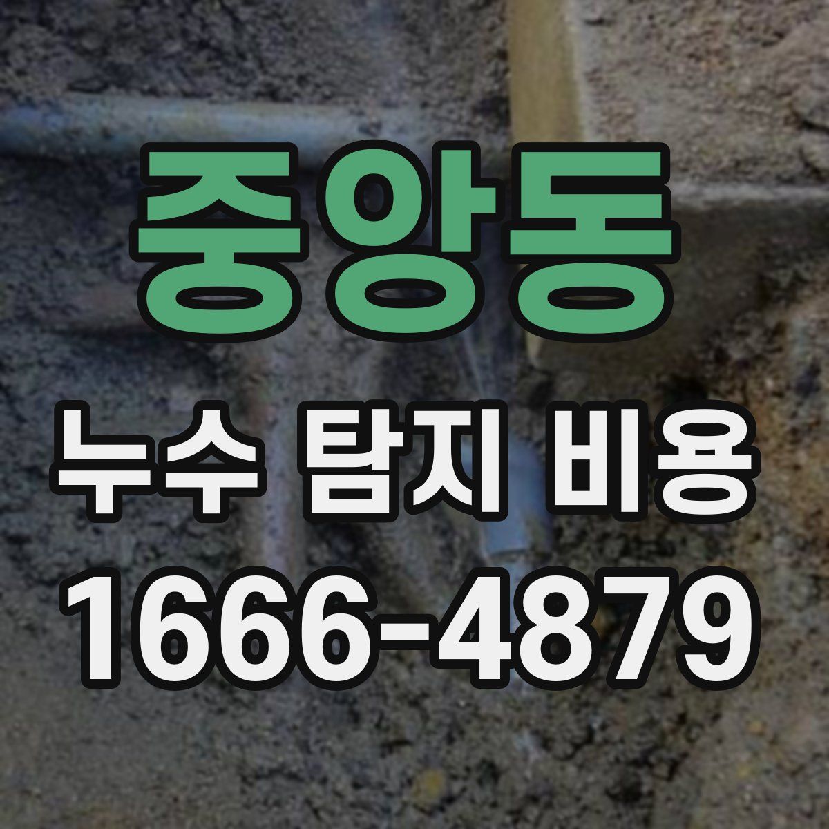 중앙동 누수 탐지 비용