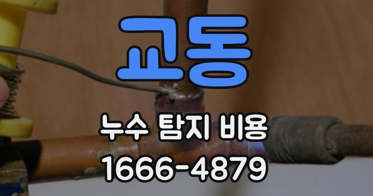 교동 누수 탐지 비용