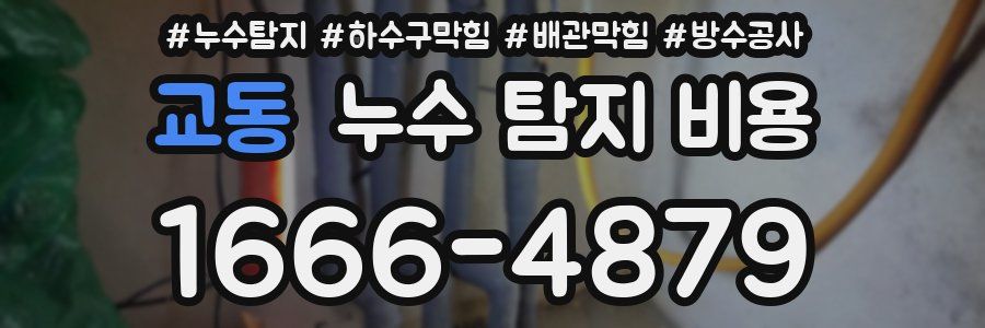 교동 누수 탐지 비용
