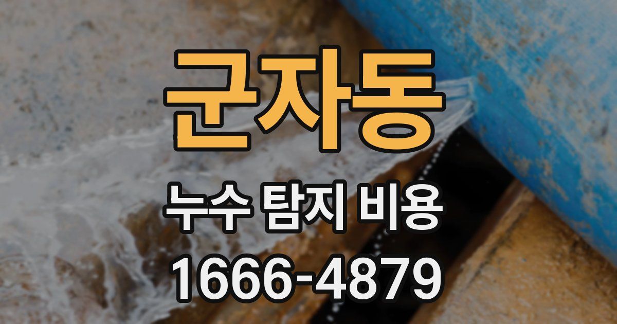 군자동 누수 탐지 비용