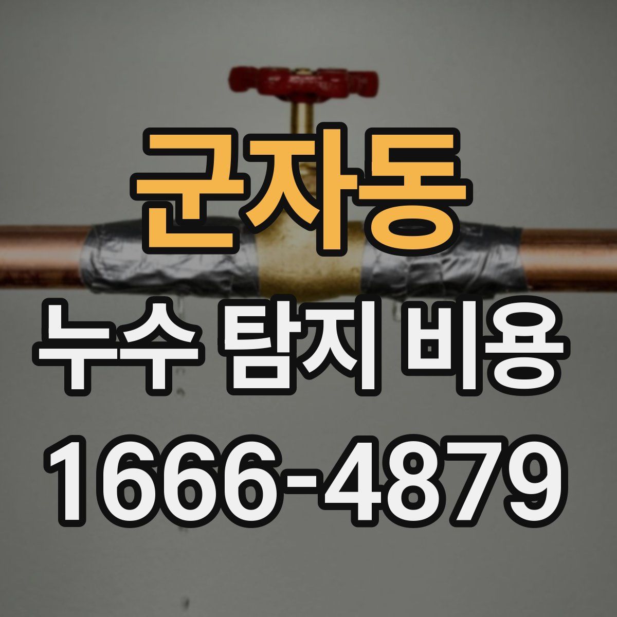군자동 누수 탐지 비용