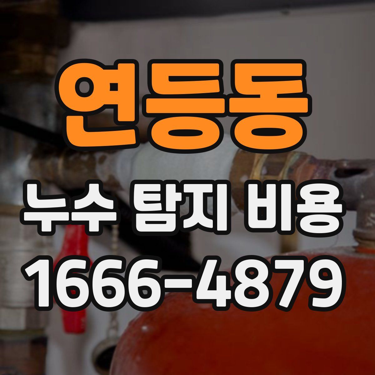연등동 누수 탐지 비용