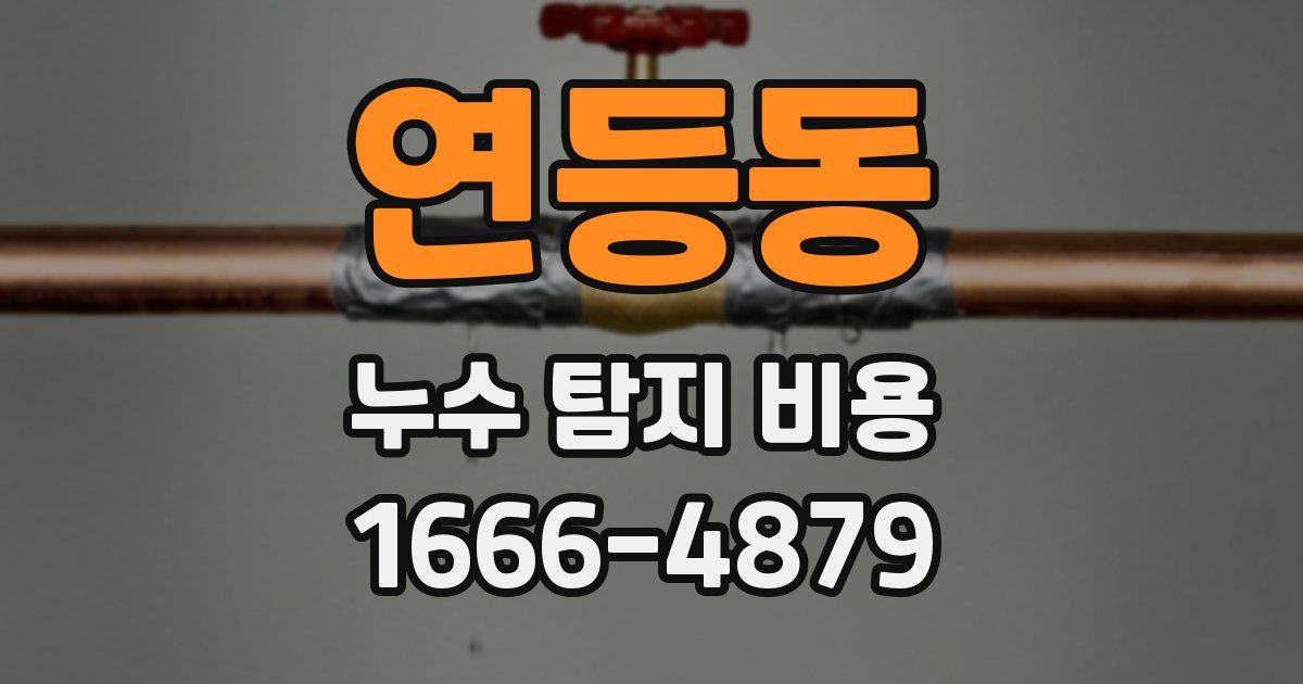연등동 누수 탐지 비용