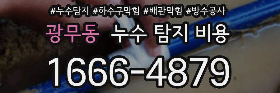 광무동 누수 탐지 비용