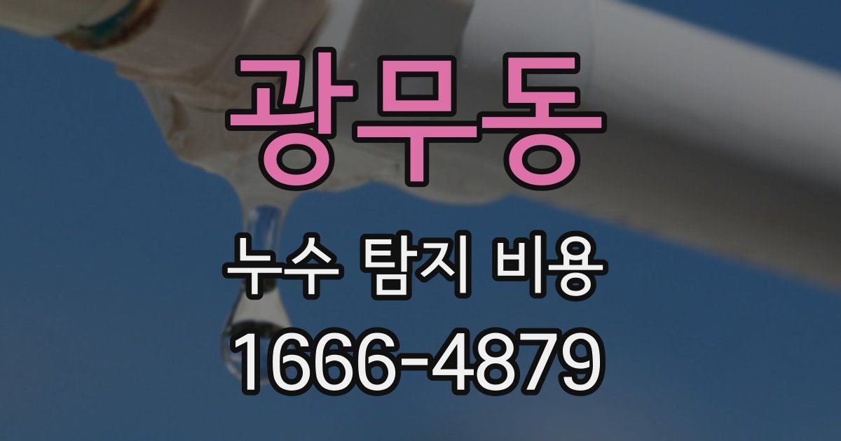 광무동 누수 탐지 비용