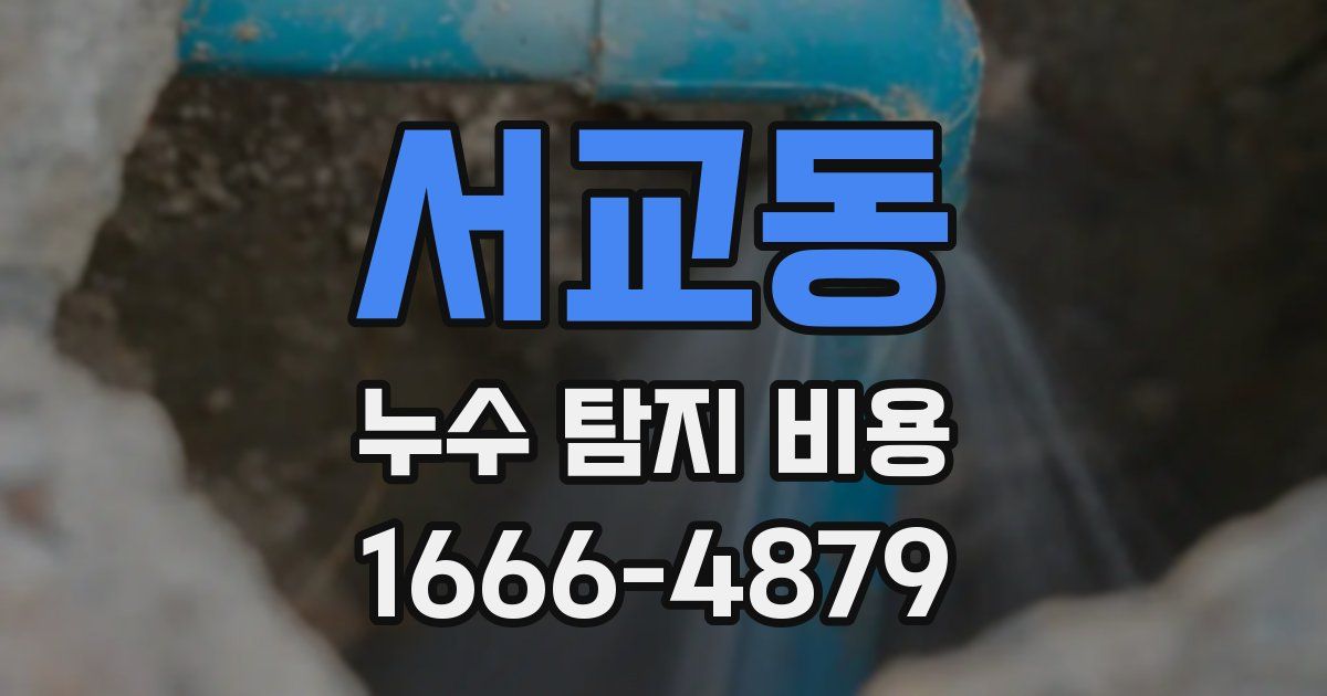 서교동 누수 탐지 비용