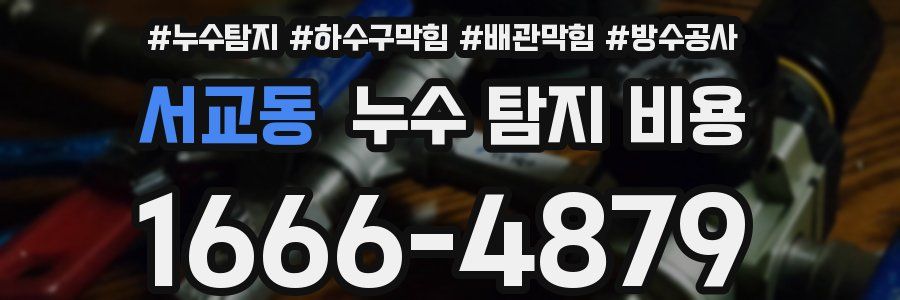 서교동 누수 탐지 비용