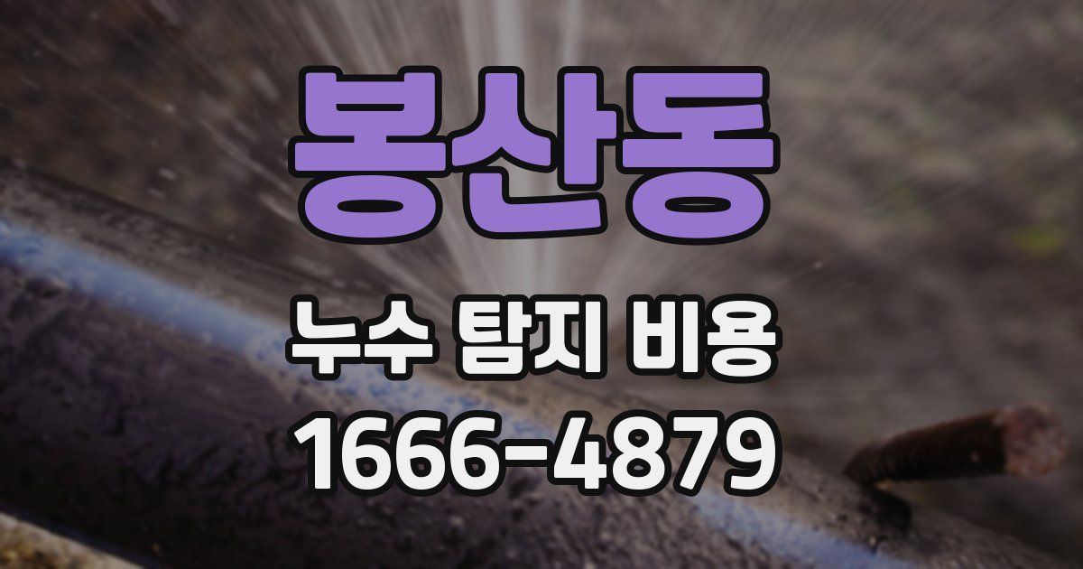 봉산동 누수 탐지 비용