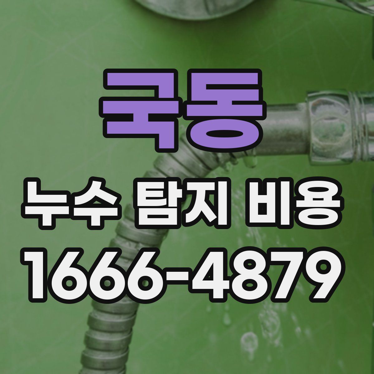 국동 누수 탐지 비용