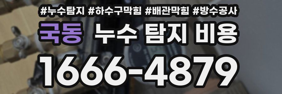 국동 누수 탐지 비용