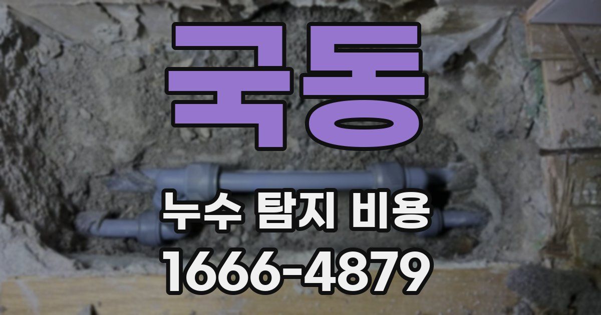 국동 누수 탐지 비용