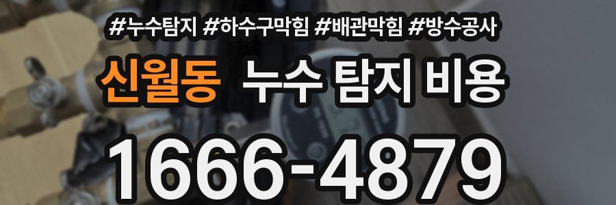 신월동 누수 탐지 비용