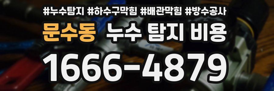 문수동 누수 탐지 비용