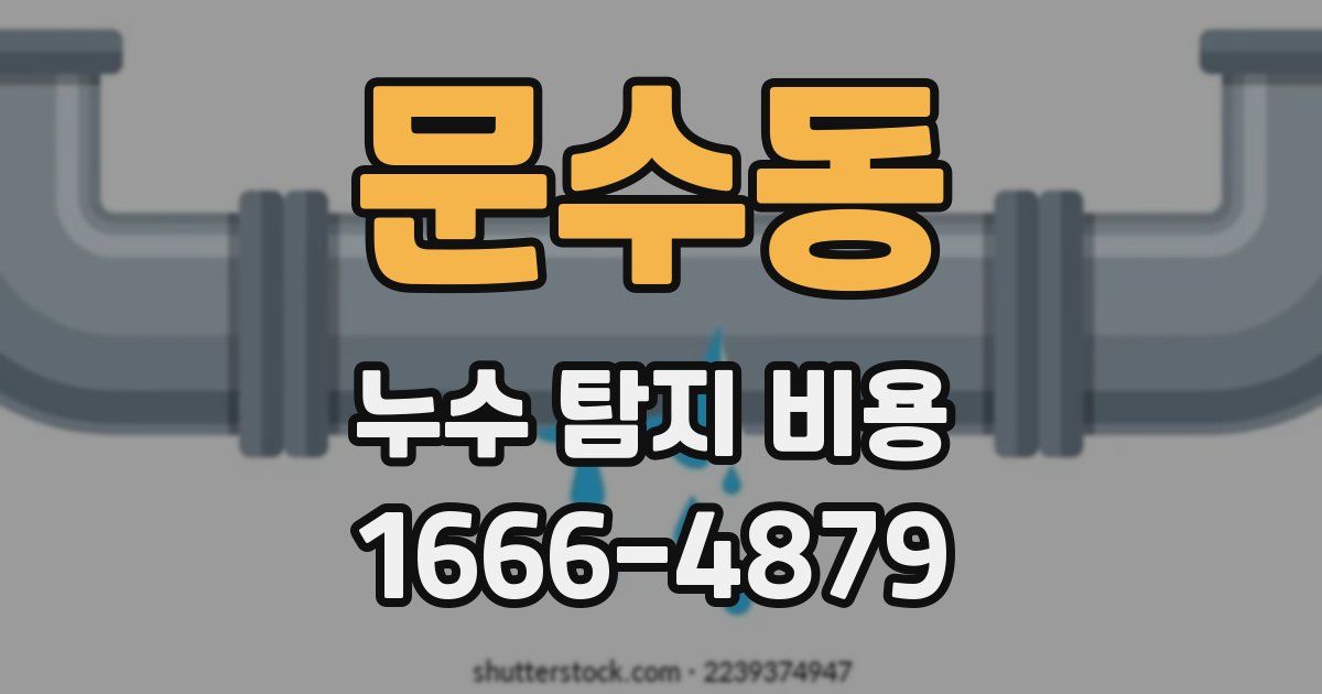 문수동 누수 탐지 비용