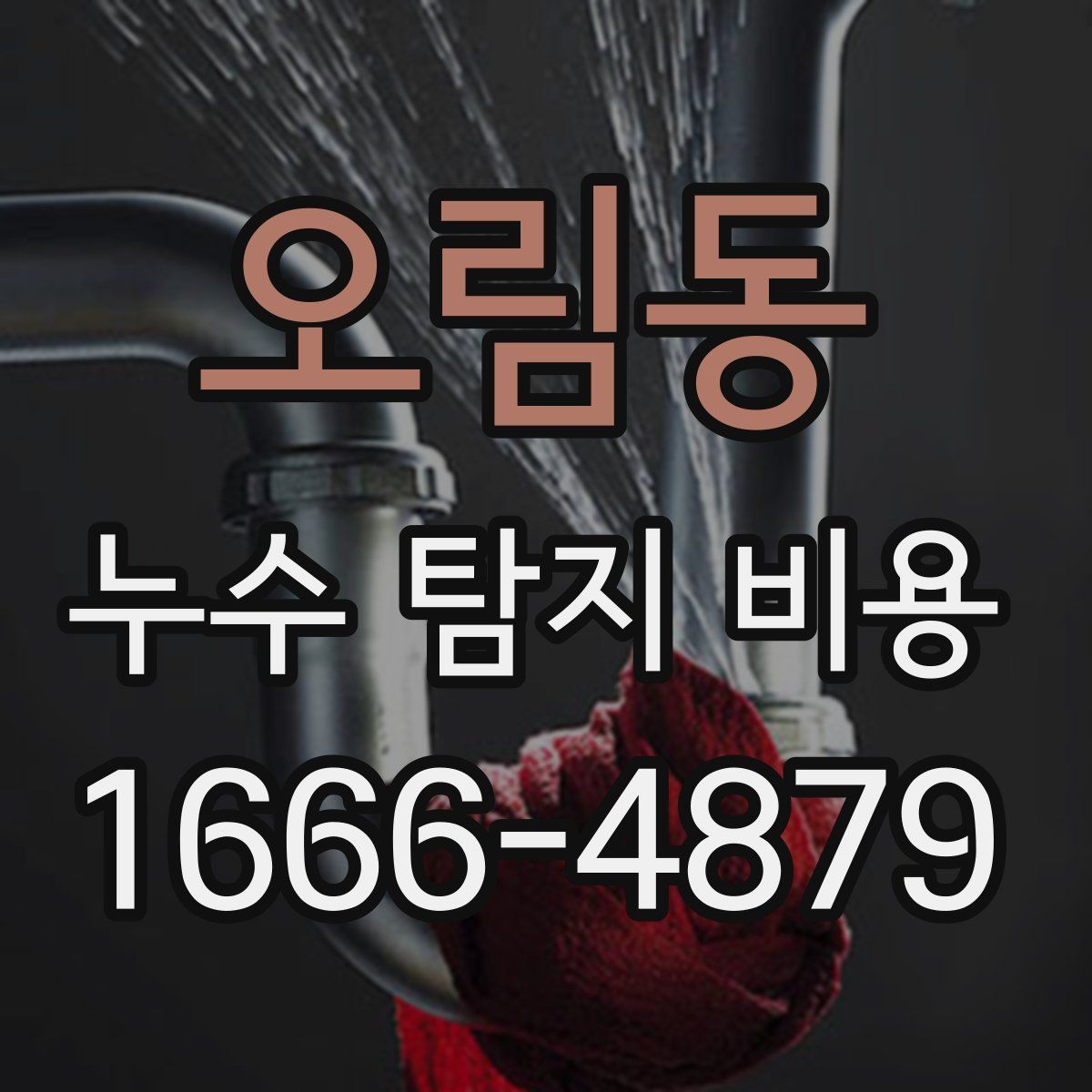 오림동 누수 탐지 비용