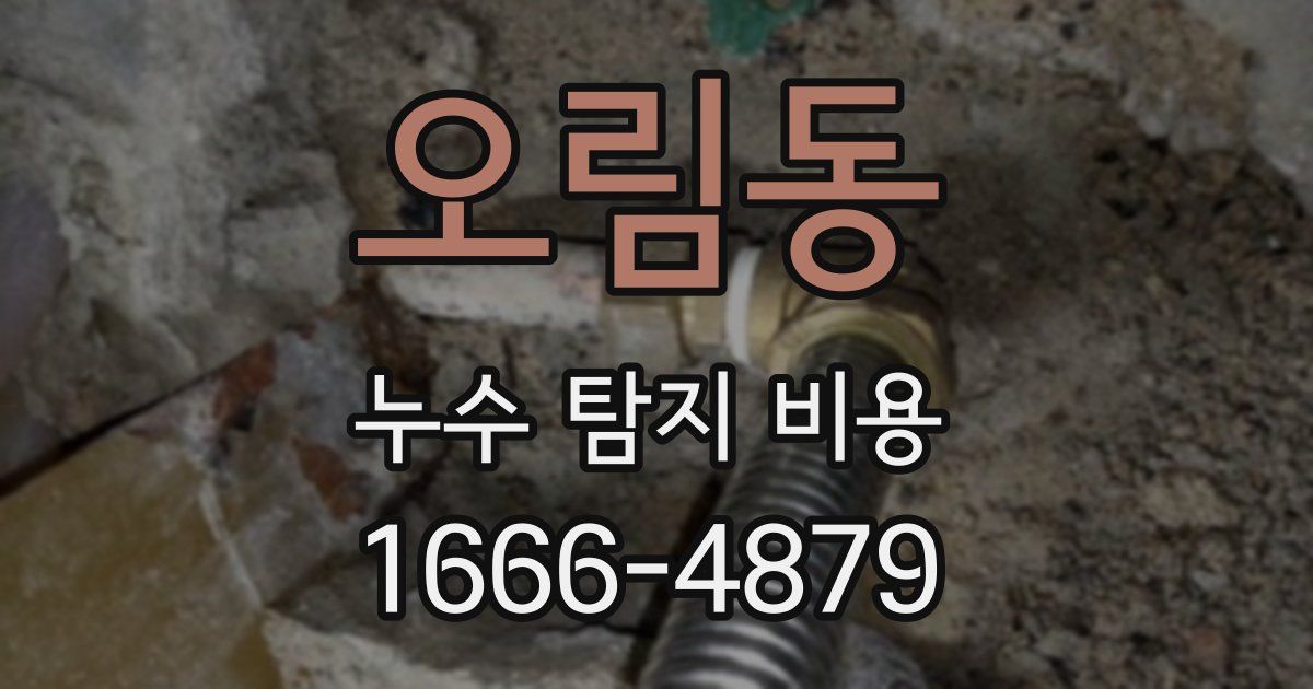 오림동 누수 탐지 비용