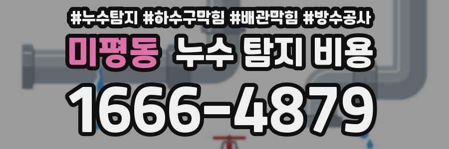 미평동 누수 탐지 비용