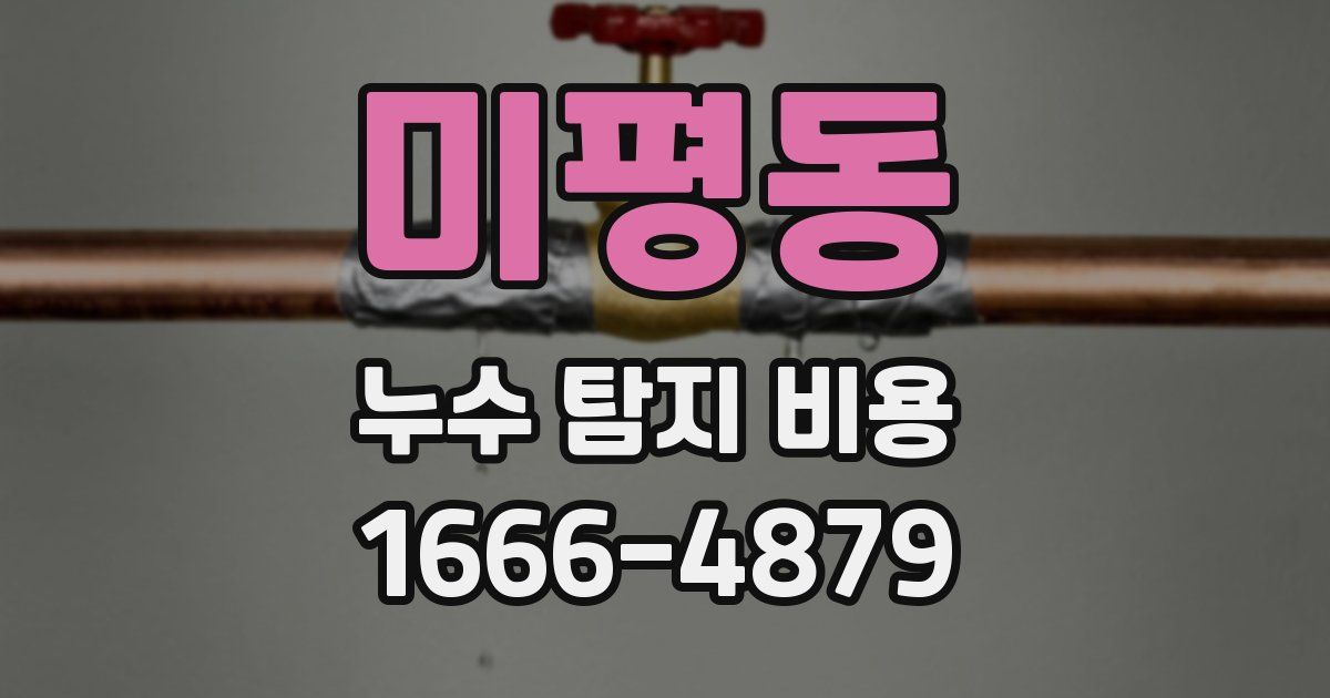 미평동 누수 탐지 비용