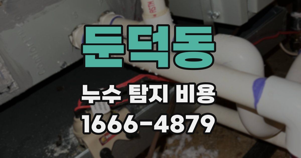 둔덕동 누수 탐지 비용