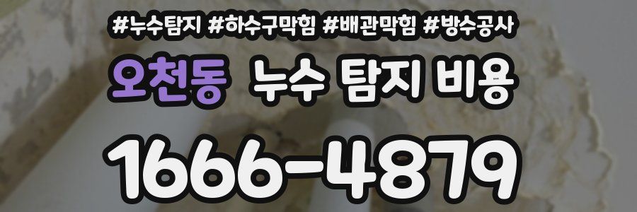 오천동 누수 탐지 비용