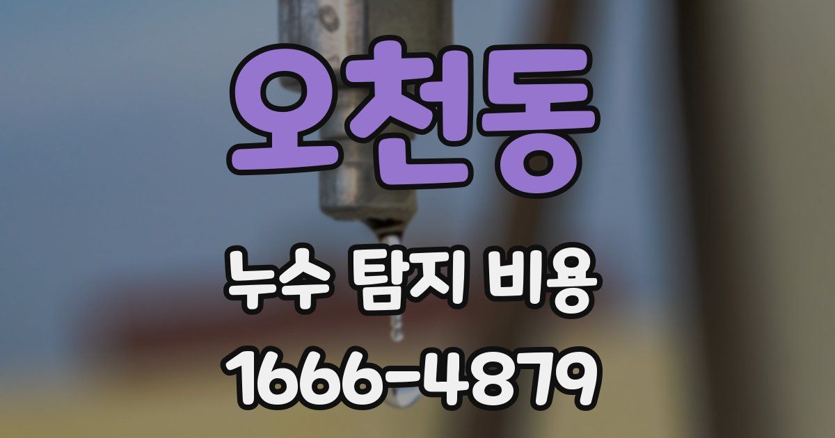 오천동 누수 탐지 비용