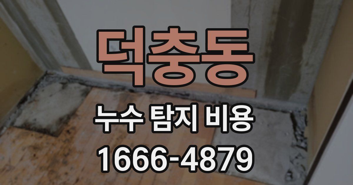 덕충동 누수 탐지 비용