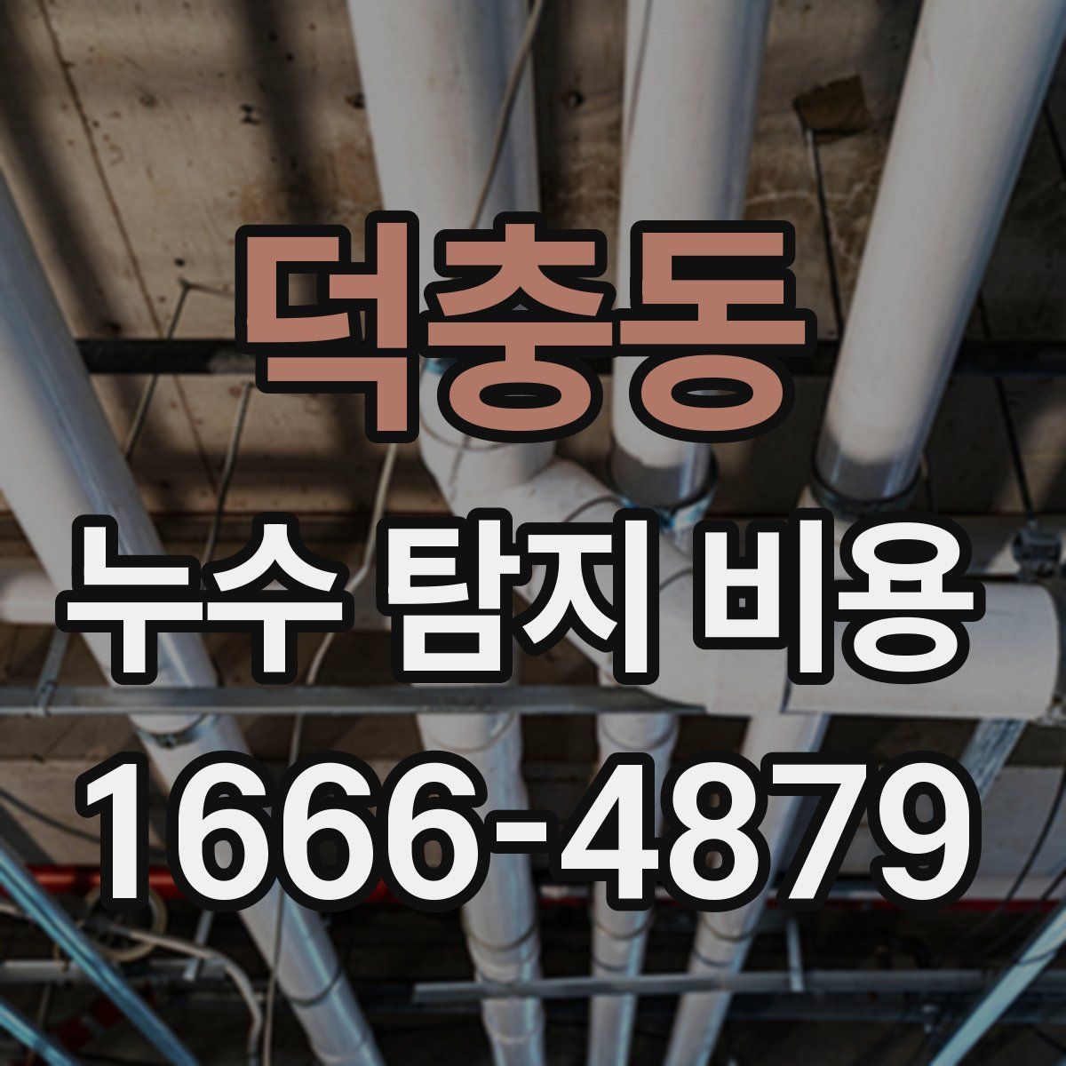 덕충동 누수 탐지 비용