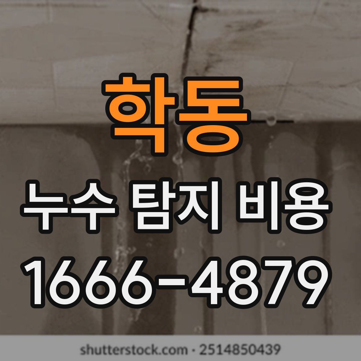 학동 누수 탐지 비용