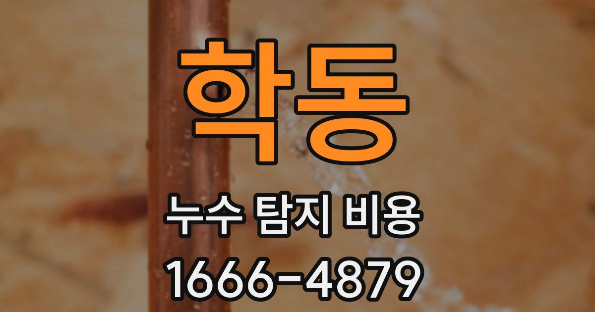 학동 누수 탐지 비용