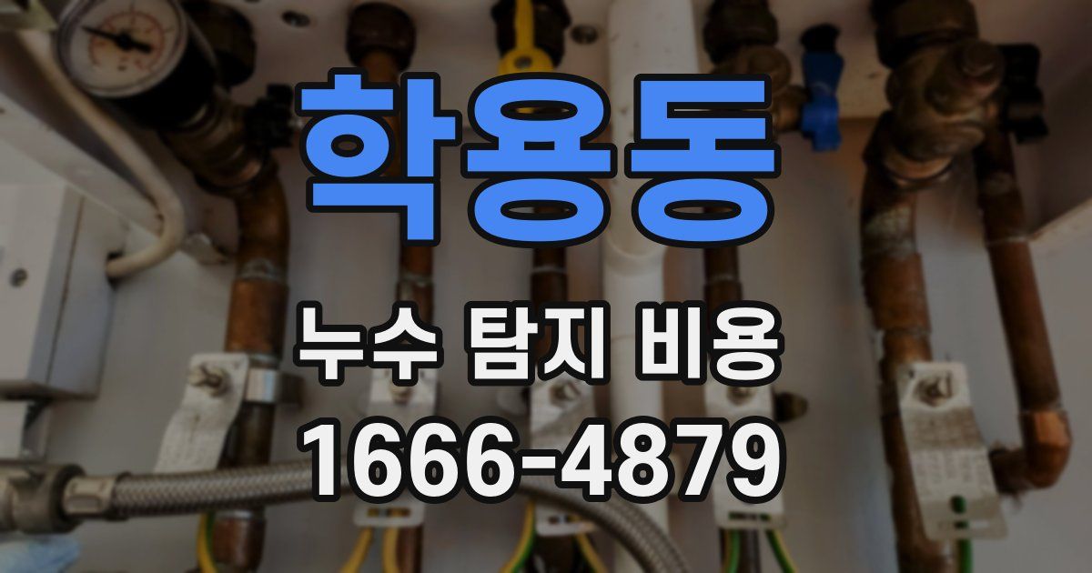 학용동 누수 탐지 비용