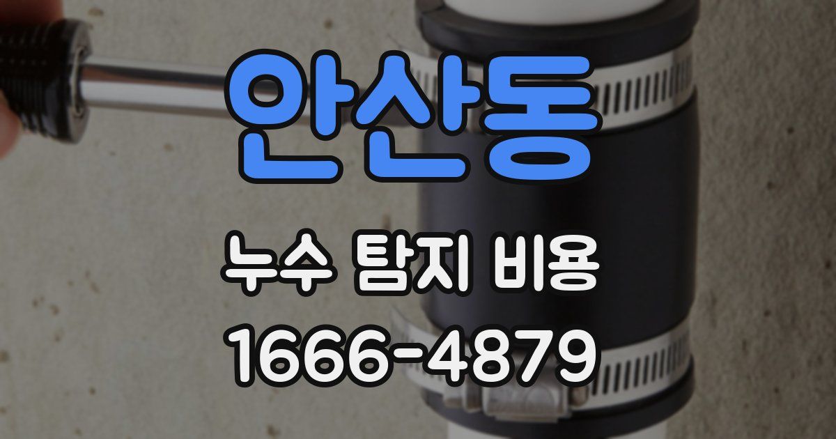 안산동 누수 탐지 비용