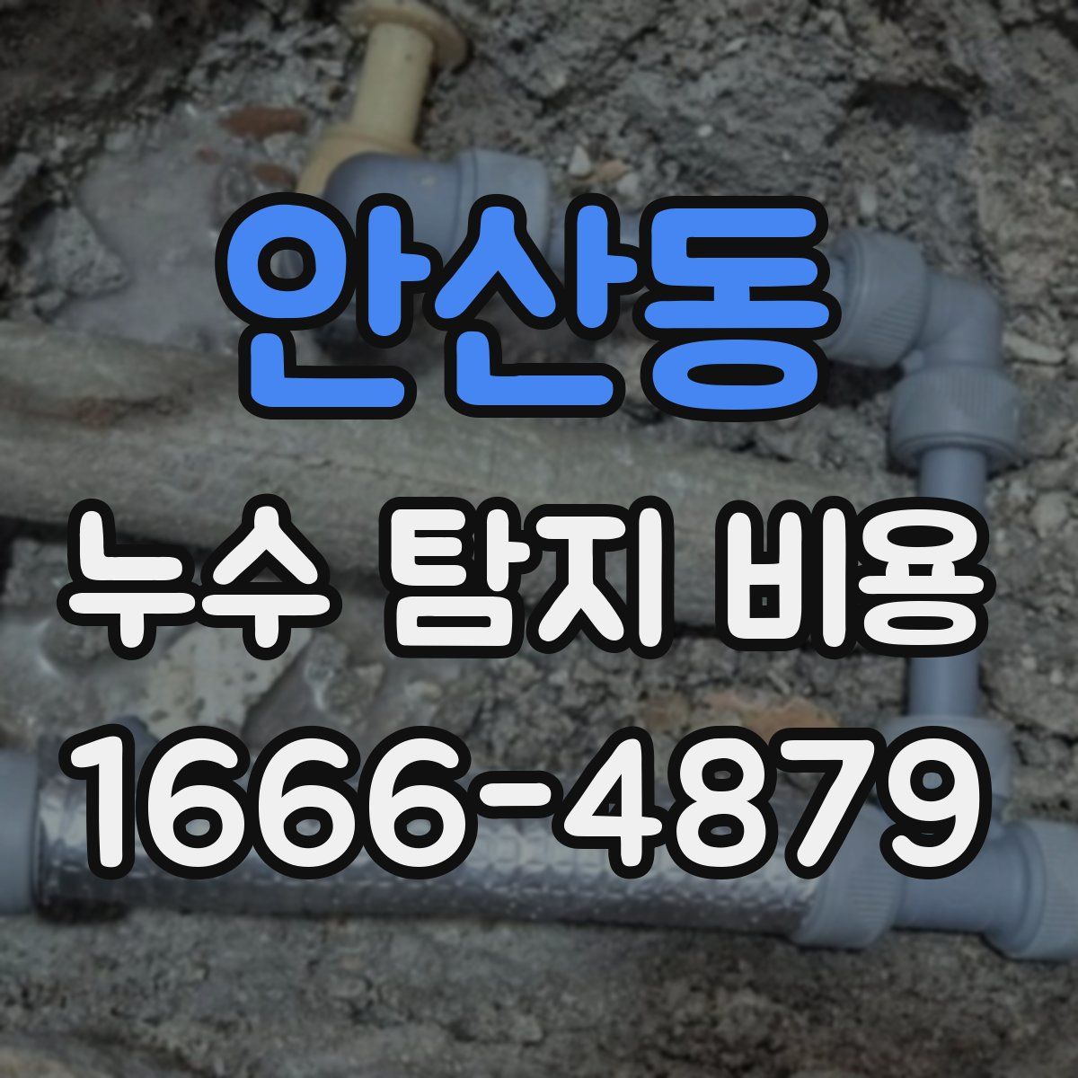안산동 누수 탐지 비용