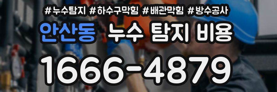안산동 누수 탐지 비용